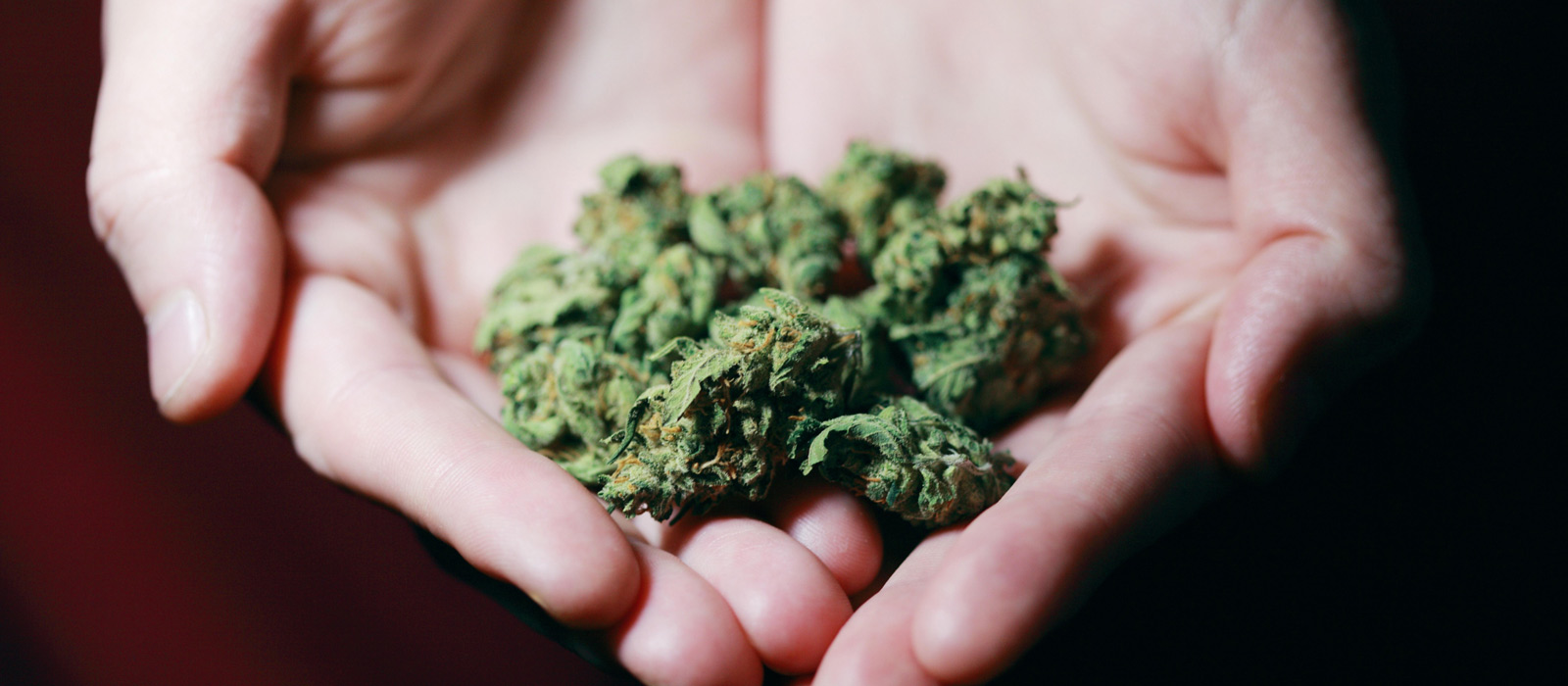 Hands out with weed