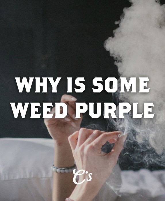 Purple Weed