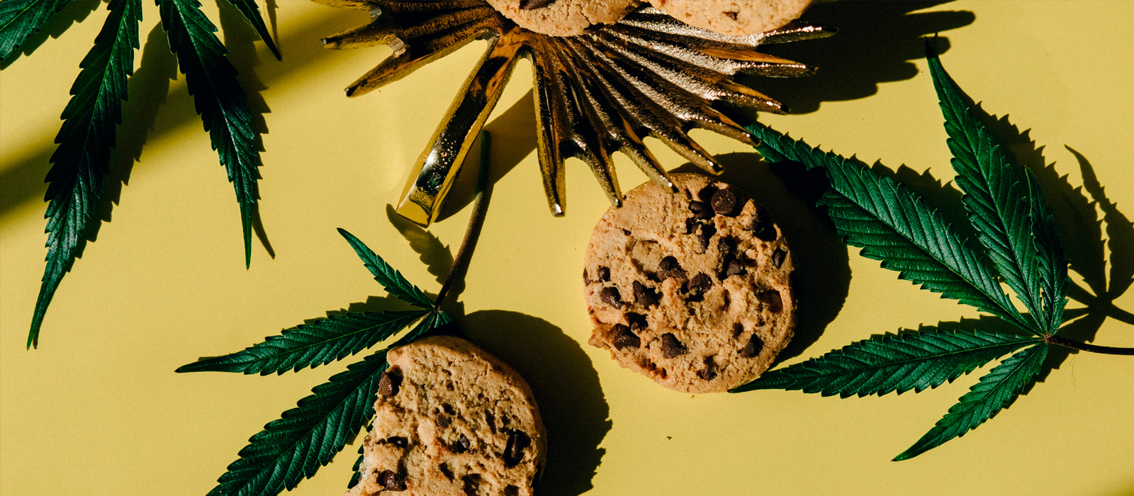 Cookies with background