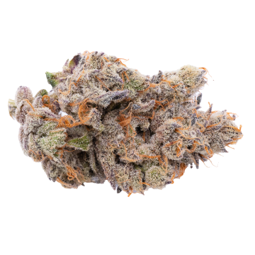 Ernies Nightcap Flower