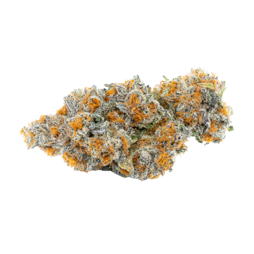 Gushers #4 Flower