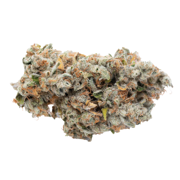 Motorbreath Flower