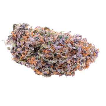 Sangria #8 Flower